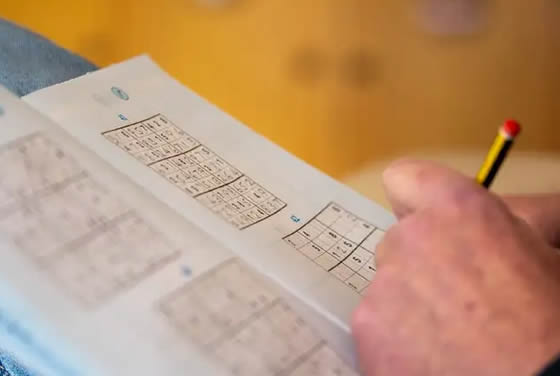 Người giải Sudoku